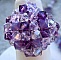 Bague Cuba Violet Amethyste