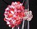 Bague Tinos Strawberry