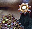 Bracelet Tila Frou-frou Magatama Iris&eacute; en kit