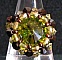Kit bague Cyclade Olivine
