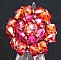 Kit bague Malte II framboise