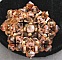 Kit bague Moorea sable