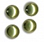 Perles nacr&eacute;es Light Green 5810 6mm x10