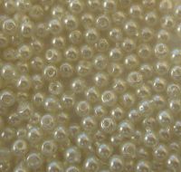 Perles rondes nacrées 2mm Blanche x20